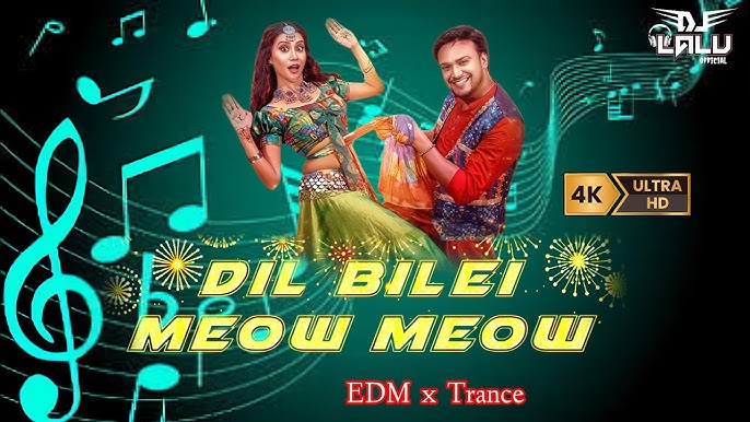 Dil Bilei Meow Meow (Land Vibrate X Roadshow Remix) DJ Lalu Official