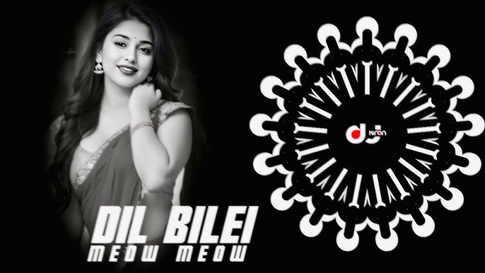 Dil Bilei Meow Meow Ft Pamela Jain (Ut Vibe Remix) Dj Kiran Nayagarh