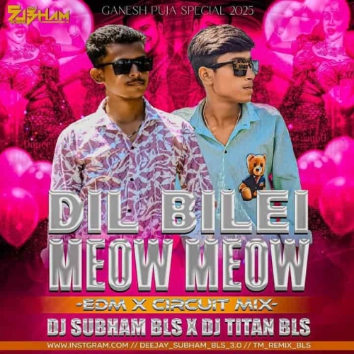 Dil Bilei Meow Meow (Edm Circuit Mix) Dj Subhan Bls x Dj Titan Bls